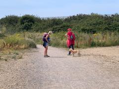 A slightly mazy section as the path runs back down towards the beach through eastern Newhaven